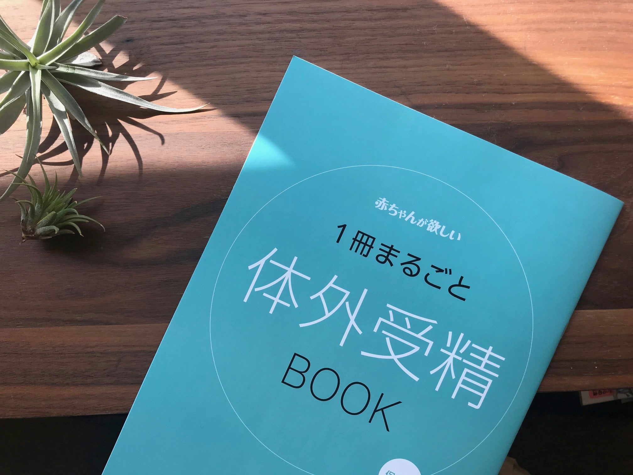体外受精で妊娠する確率はどのくらい?不妊治療のこと、ズバリ知りたい! | 不妊治療・妊活のクリニック探し・情報収集ならあかほし(赤ちゃんが欲しい)