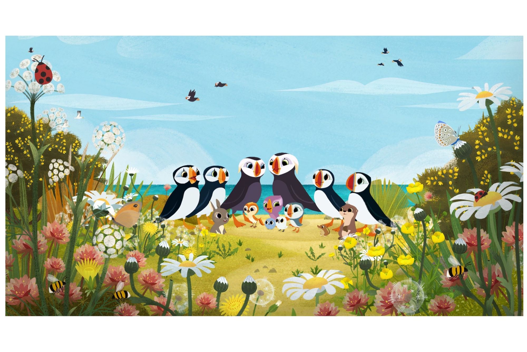 パフィンの小さな島