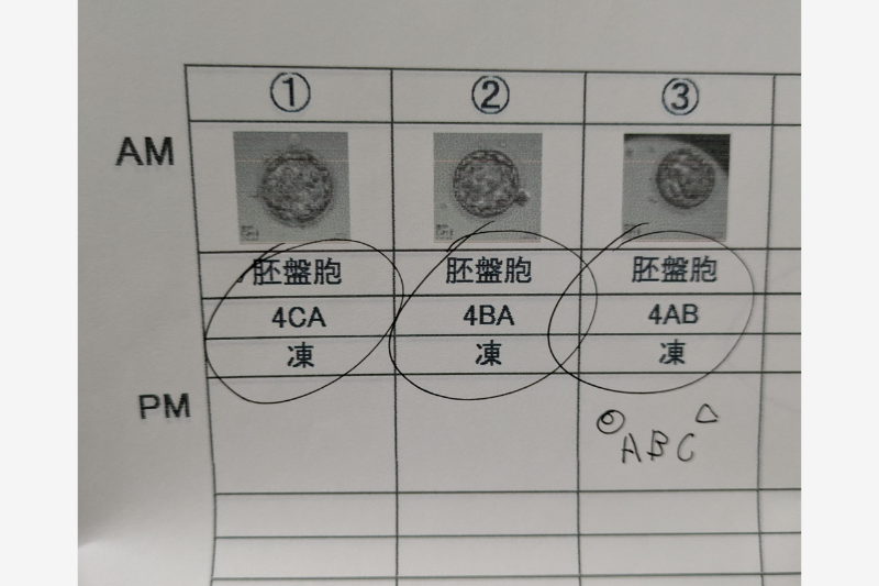 ハナイチゴ関谷友美