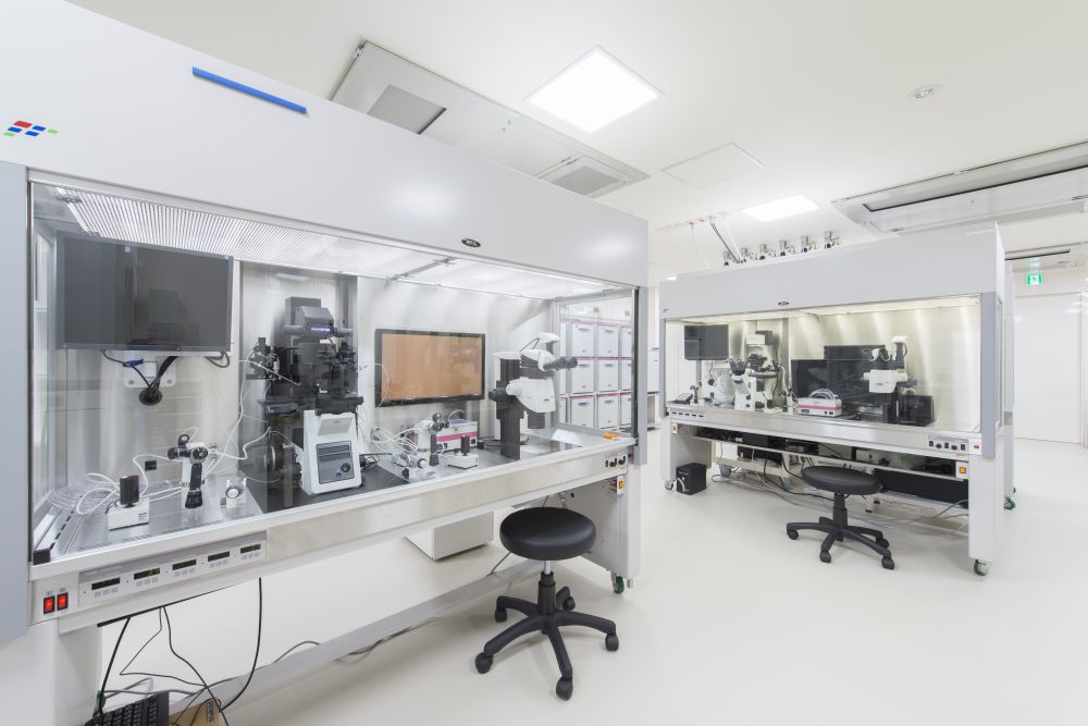 神奈川レディースクリニック