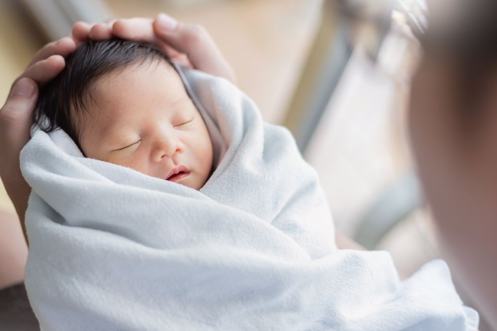 『－196℃の願い 卵子凍結を選んだ女性たち』