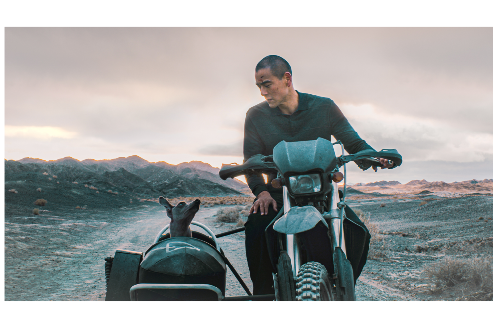 ブラックドッグ