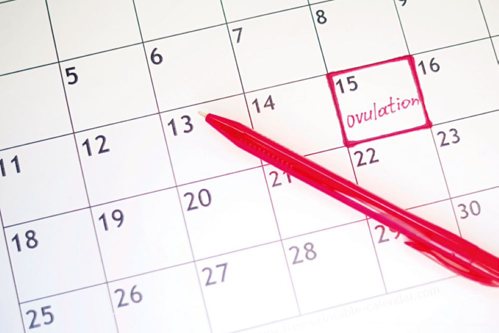 排卵日予測検査薬