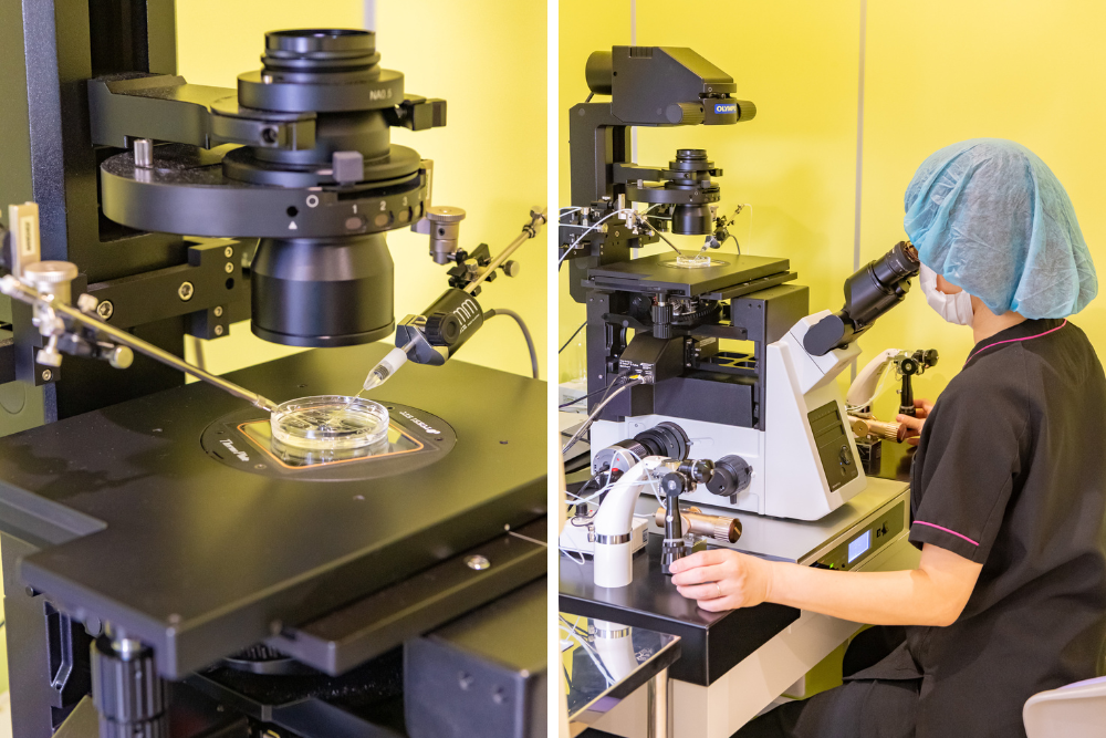 峯レディースクリニック