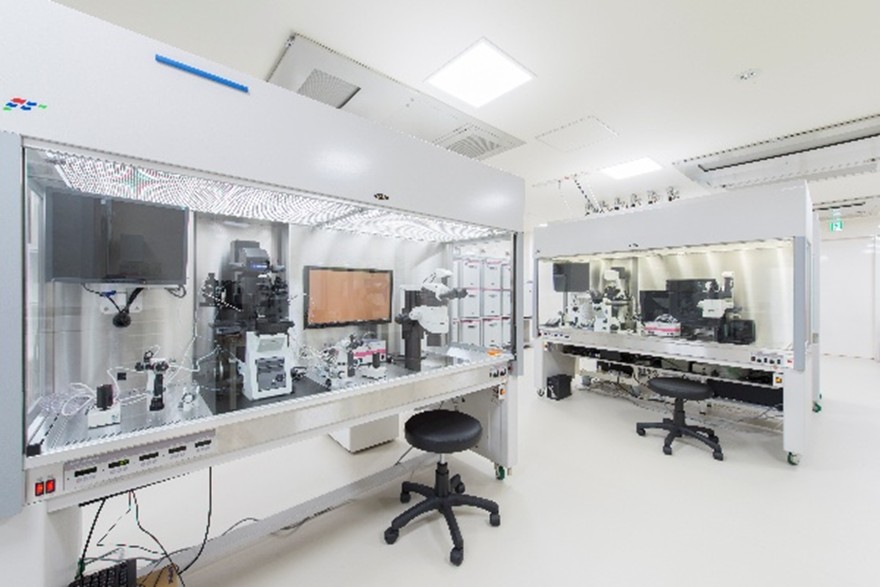 神奈川レディース