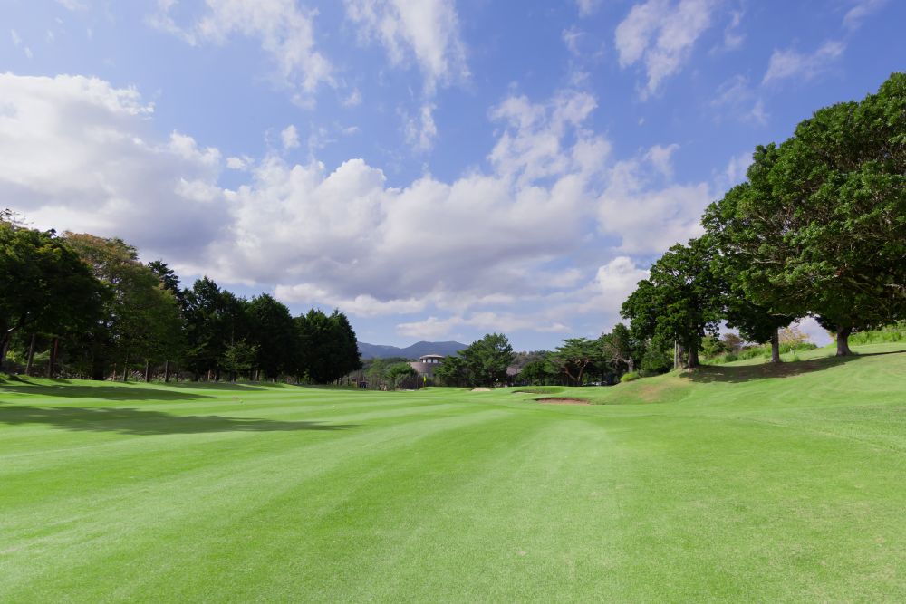 昭和医科大学江東豊洲病院
