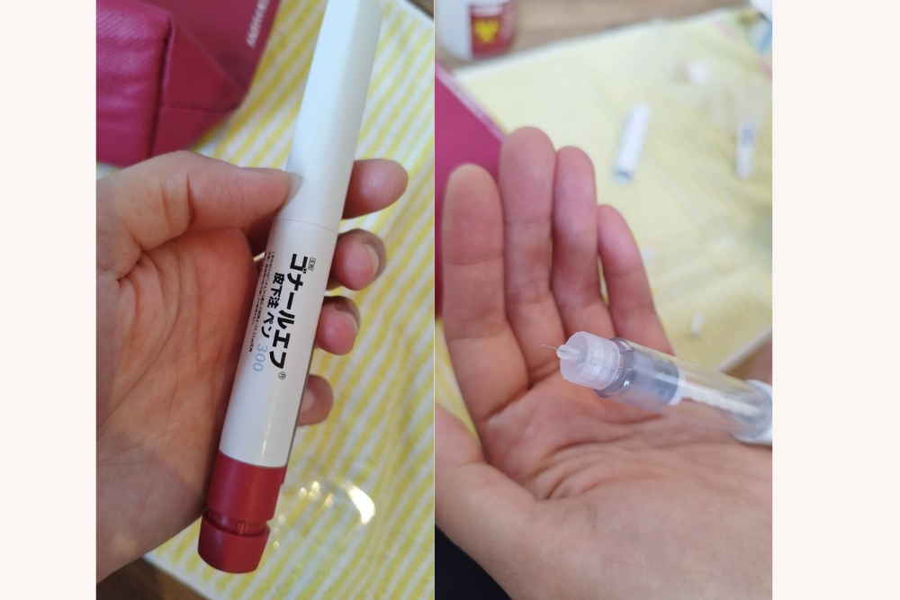 本日は晴天なりさん